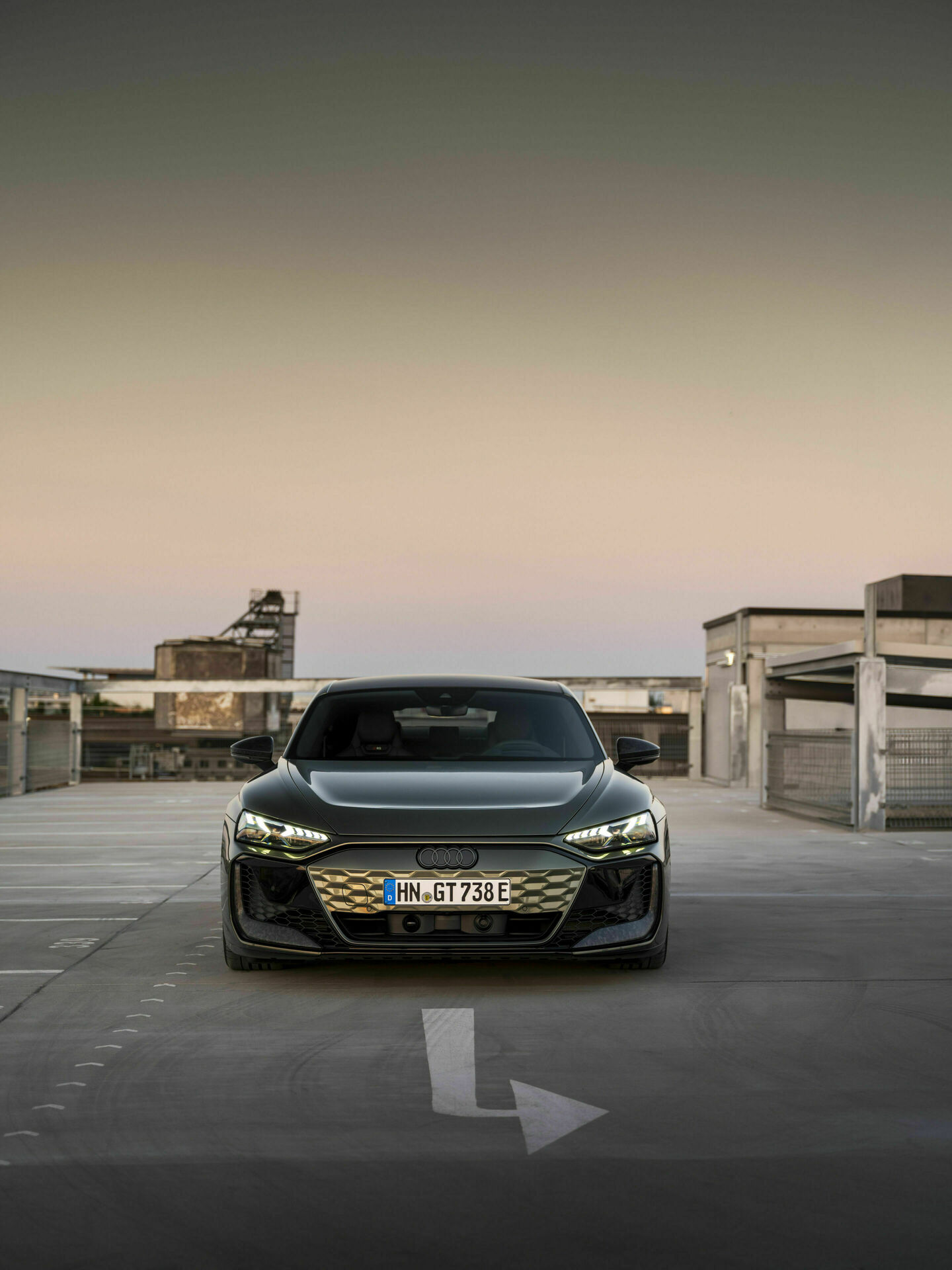 Audi RS e-tron GT performance, Static photo,
color: Oak green metallic, customized paint finish, Audi exclusive
