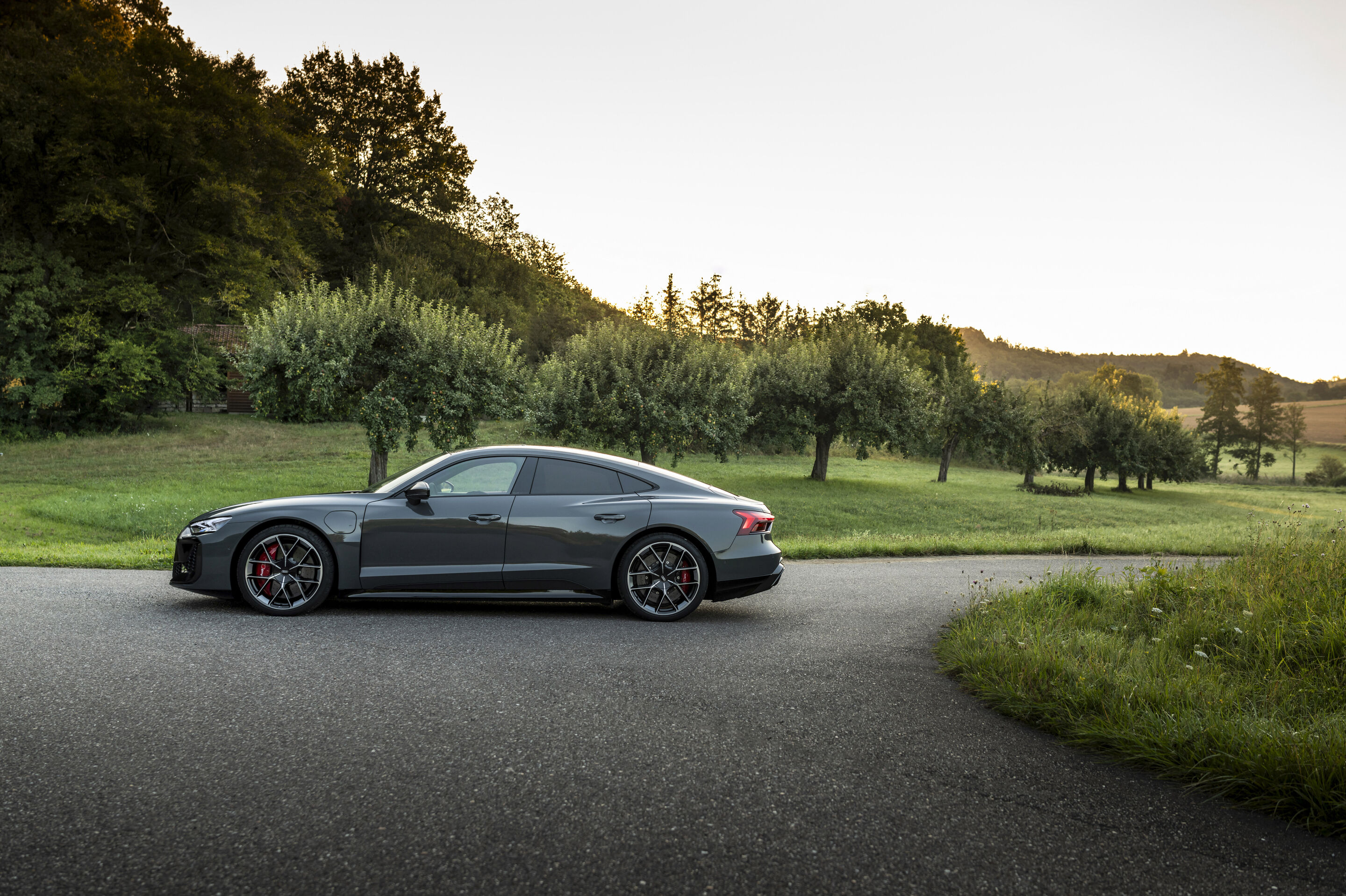 Audi RS e-tron GT - Ein Audi RS e-tron GT, im Hintergrund stehen zahlreiche Obstbäume. Das Fahrzeug ist in in Nimbusgrau Perleffekt lackiert.