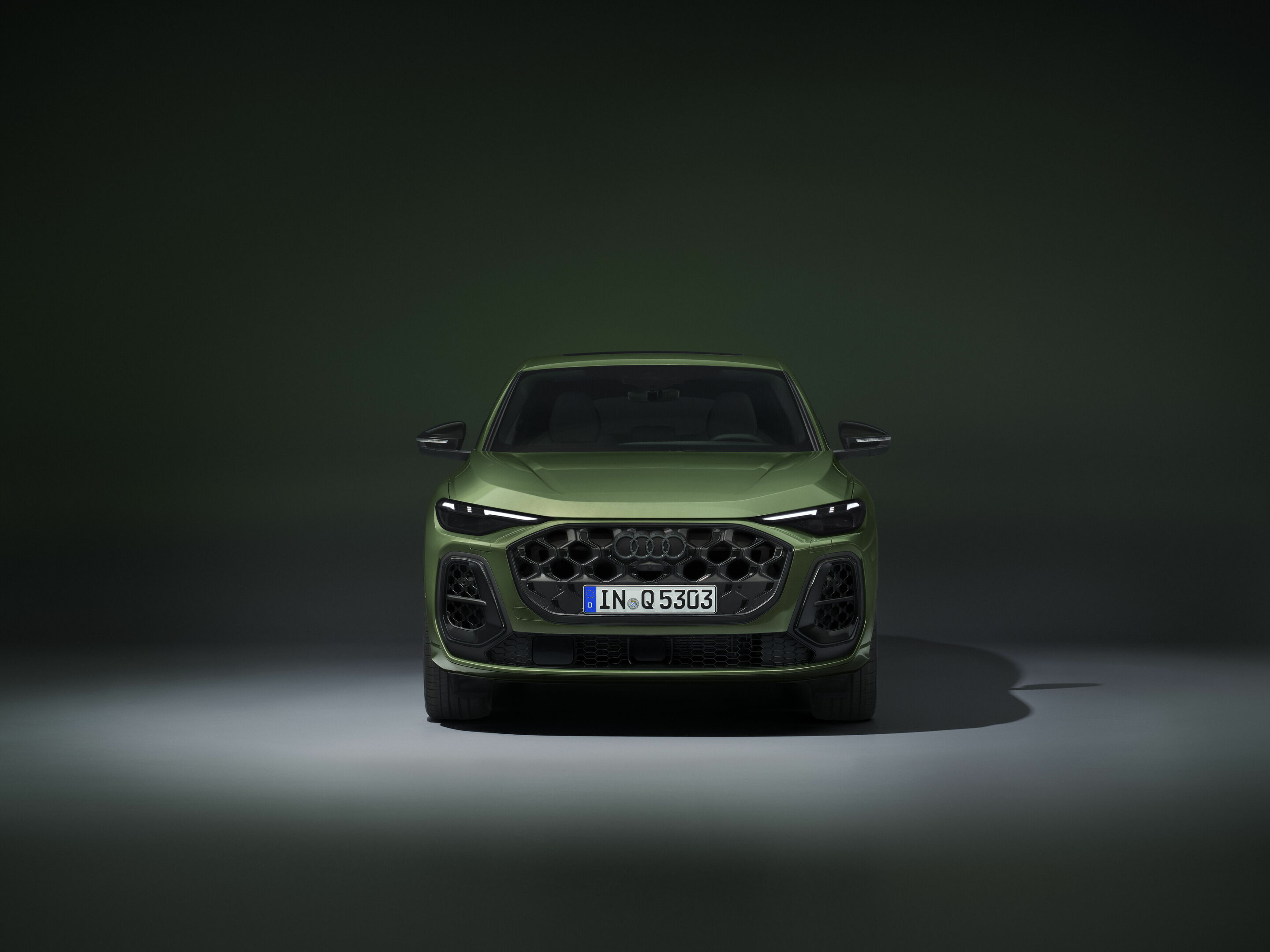Audi Q5 Sportback - Standaufnahme,
Farbe: Distriktgrün Metallic