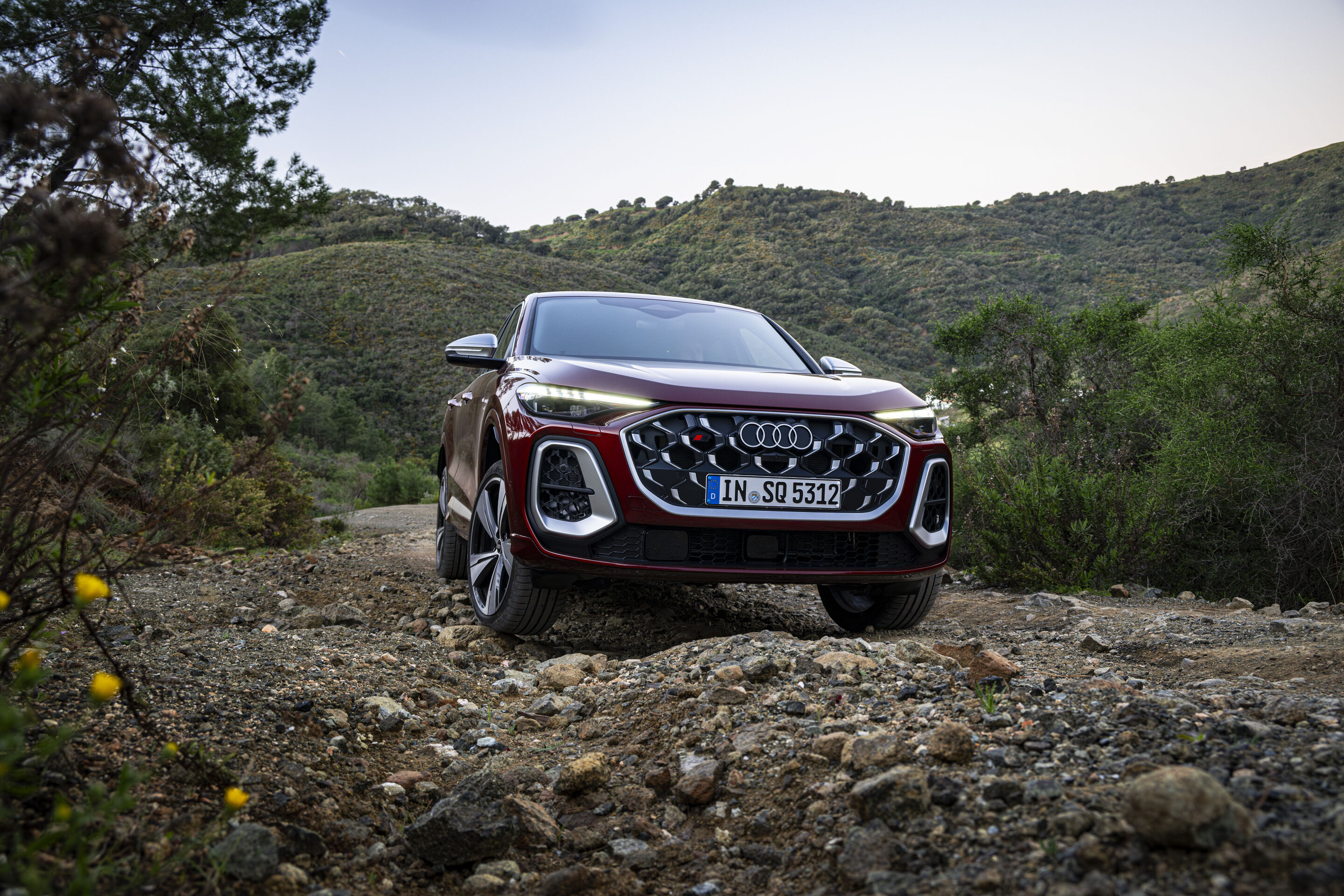 Audi SQ5 Sportback - Standaufnahme,
Farbe: Grenadinrot Metallic
