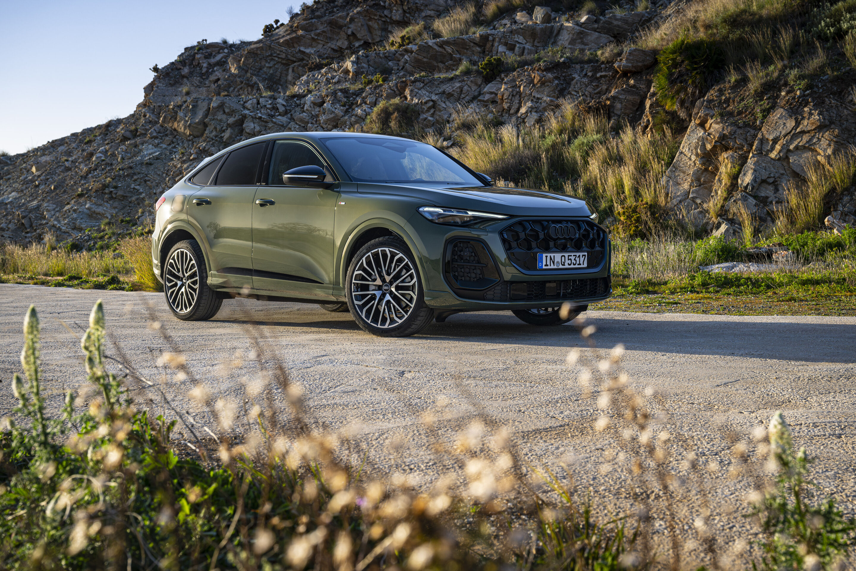 Audi Q5 Sportback - Standaufnahme,
Farbe: Distriktgrün Metallic