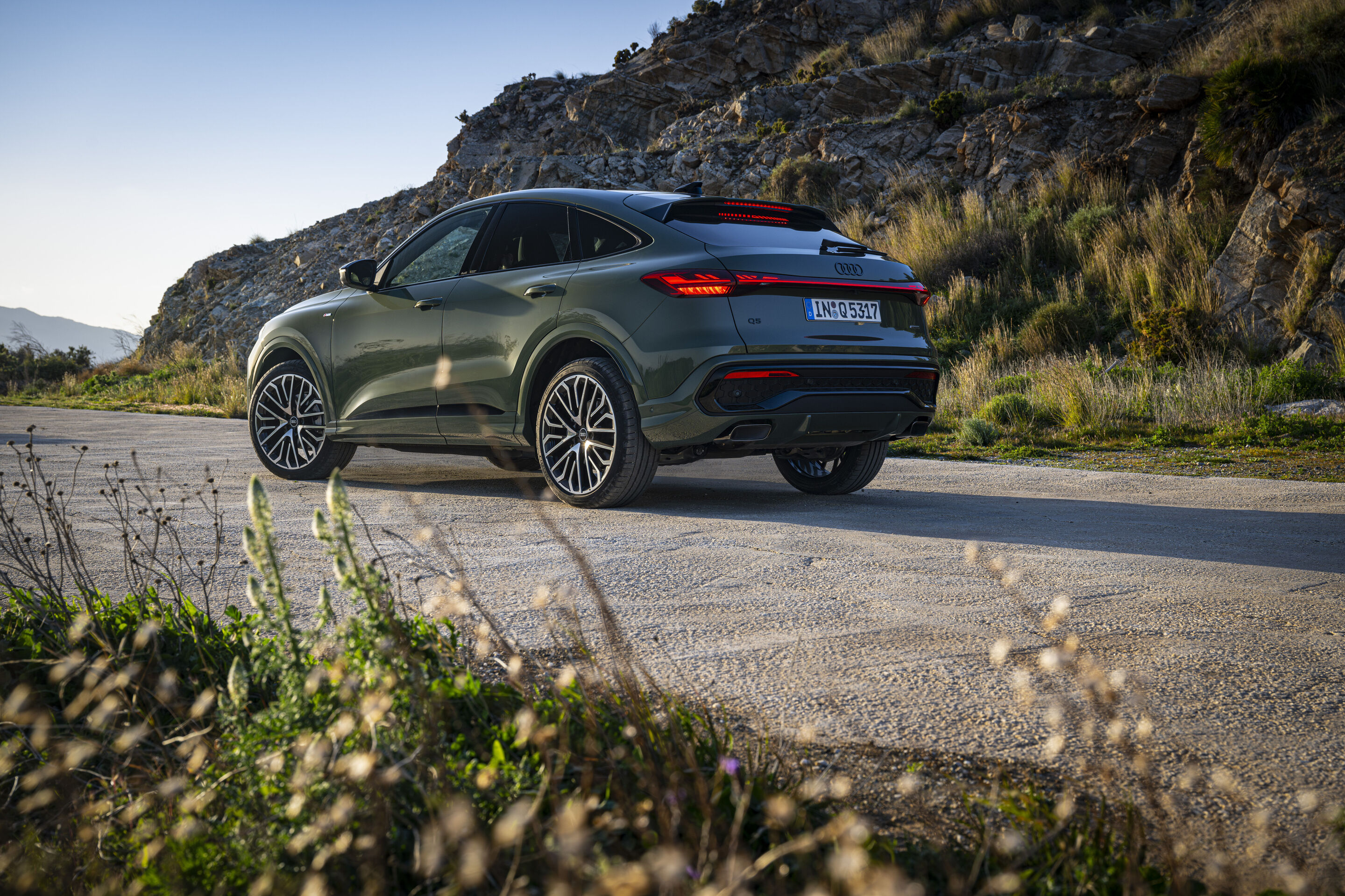 Audi Q5 Sportback - Standaufnahme,
Farbe: Distriktgrün Metallic