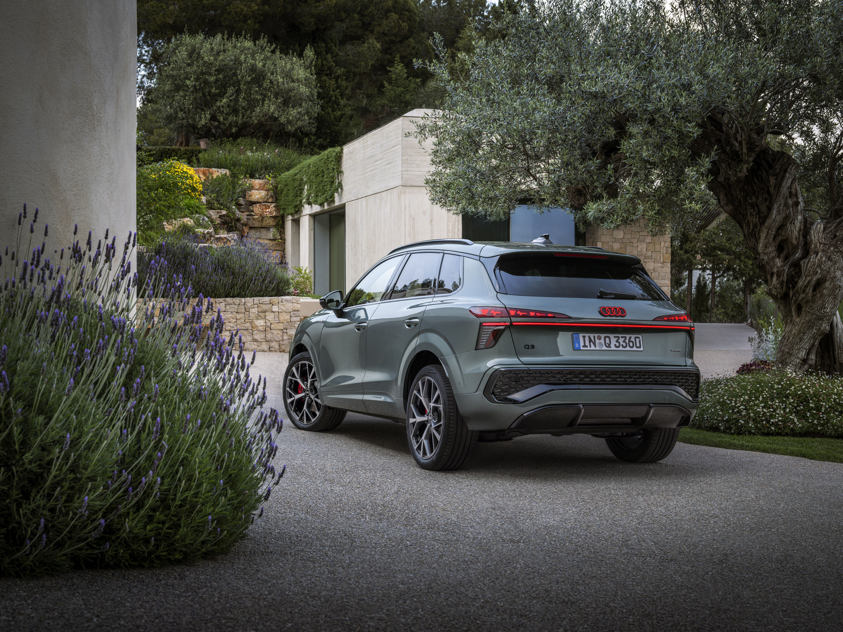 Audi Q3 SUV - Ein Audi Q3 in Salbeigrün Metallic steht in einer Ferienhauseinfahrt zwischen Lavendelsträuchern und einem Olivenbaum.