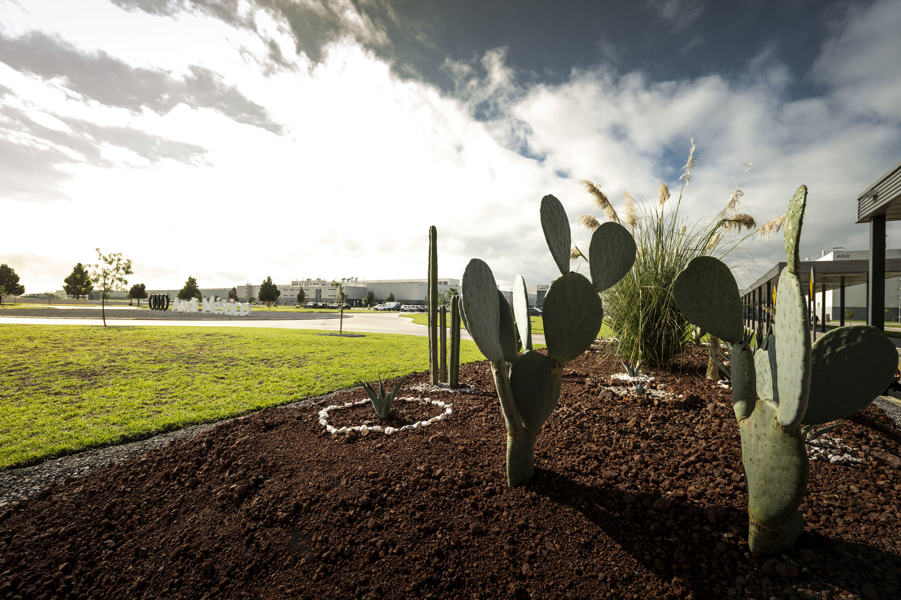 Audi Q5 production at San José Chiapa site - Cacti and green spaces characterize the grounds of the Audi plant in México