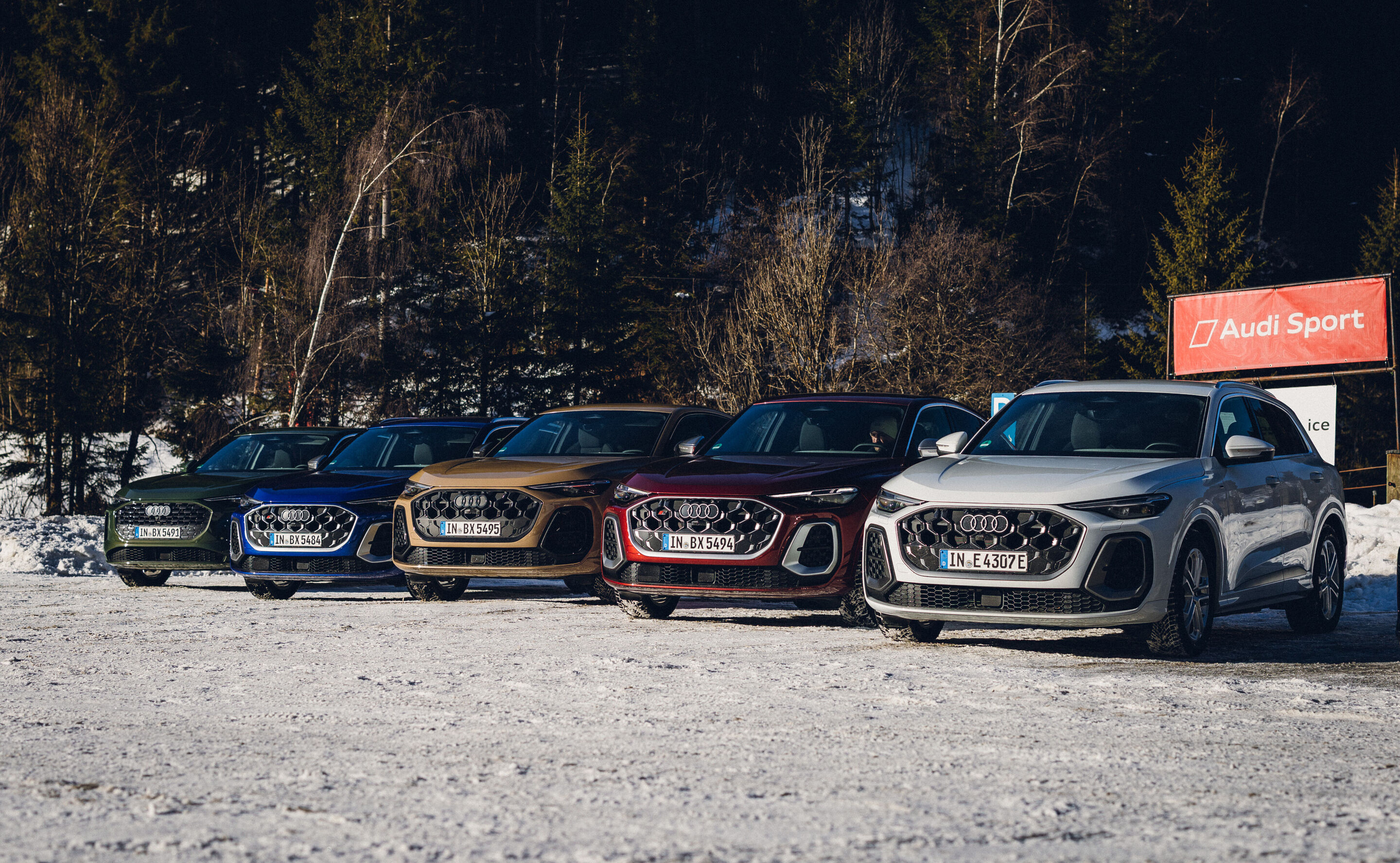 Audi Q5 und Audi SQ5 Modelle - Fünf Audi Q5 und SQ5 Modelle unterschiedlicher Farben stehen nebeneinander auf einer verschneiten Fläche vor einem Wald. Rechts im Hintergrund befindet sich ein Schild mit der Aufschrift „Audi Sport“.