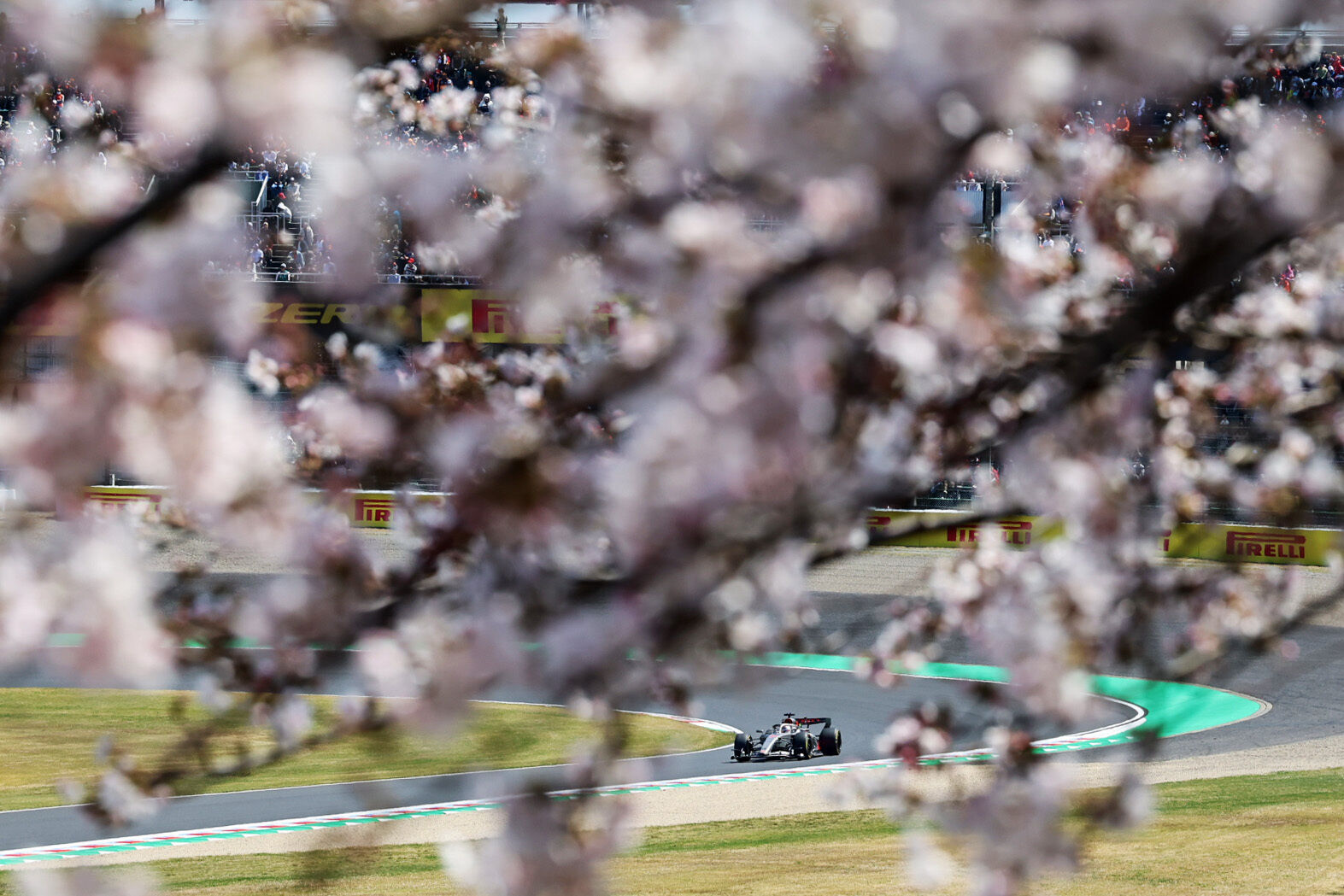 Audi Revolut F1 Team: Japanese Grand Prix - Audi R26 #27, Nico Hulkenberg