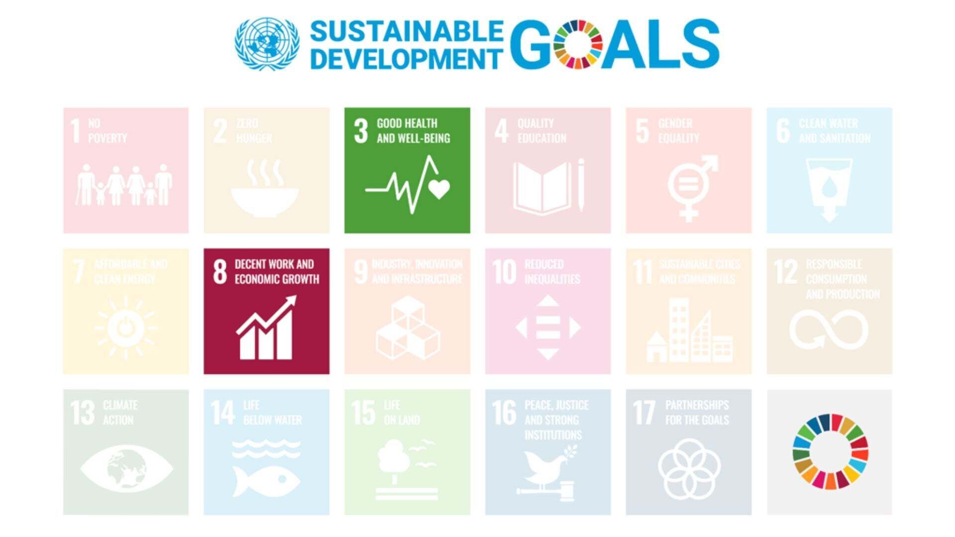 Infografik zeigt die markierten Sustainable Development Goals 3: Good Health and Wellbeing und 8: Decent Work and Economic Growth.