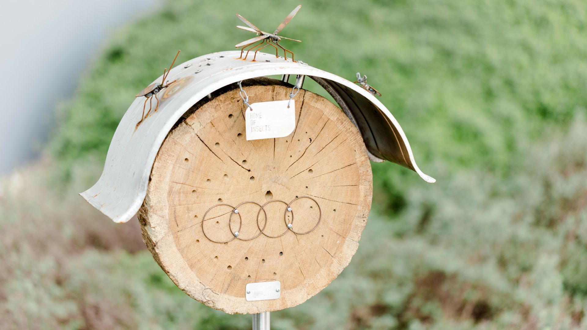 Insect hotel in a tree trunk section with holes and the four rings logo made of wire on the front