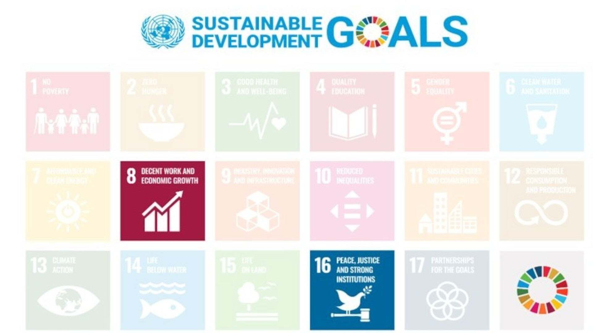Die Grafik zeigt, die für das Thema “Nachhaltigkeitsmanagement” relevanten SDGs Nr. 8 und 16. - Die Grafik zeigt, die für das Thema “Nachhaltigkeitsmanagement” relevanten SDGs Nr. 8 und 16.