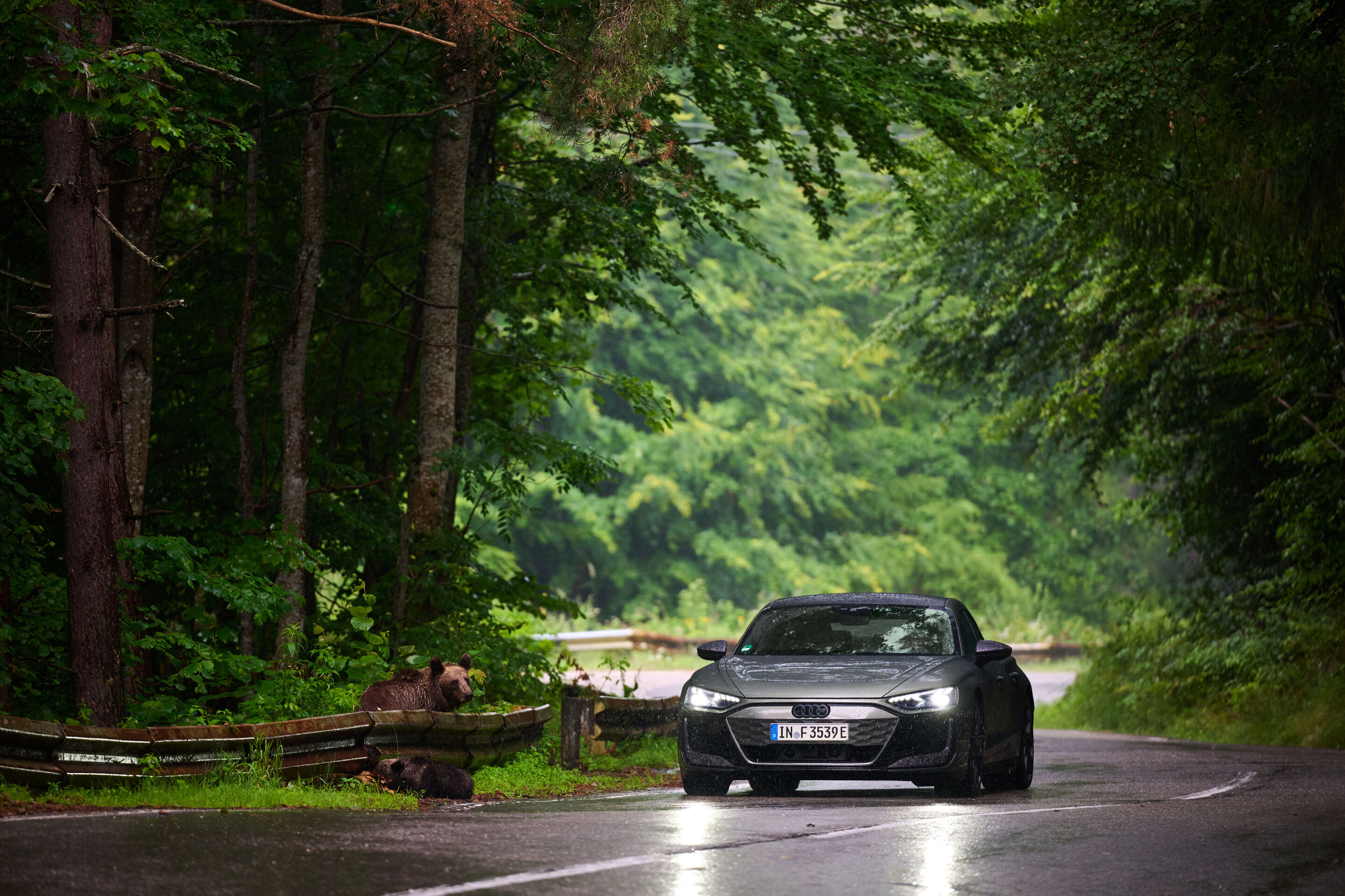 Electric Escape: Through the Carpathians in the Audi e-tron GT - Finished in Daytona Grey, the Audi e-tron GT almost blends seamlessly into its natural surroundings.