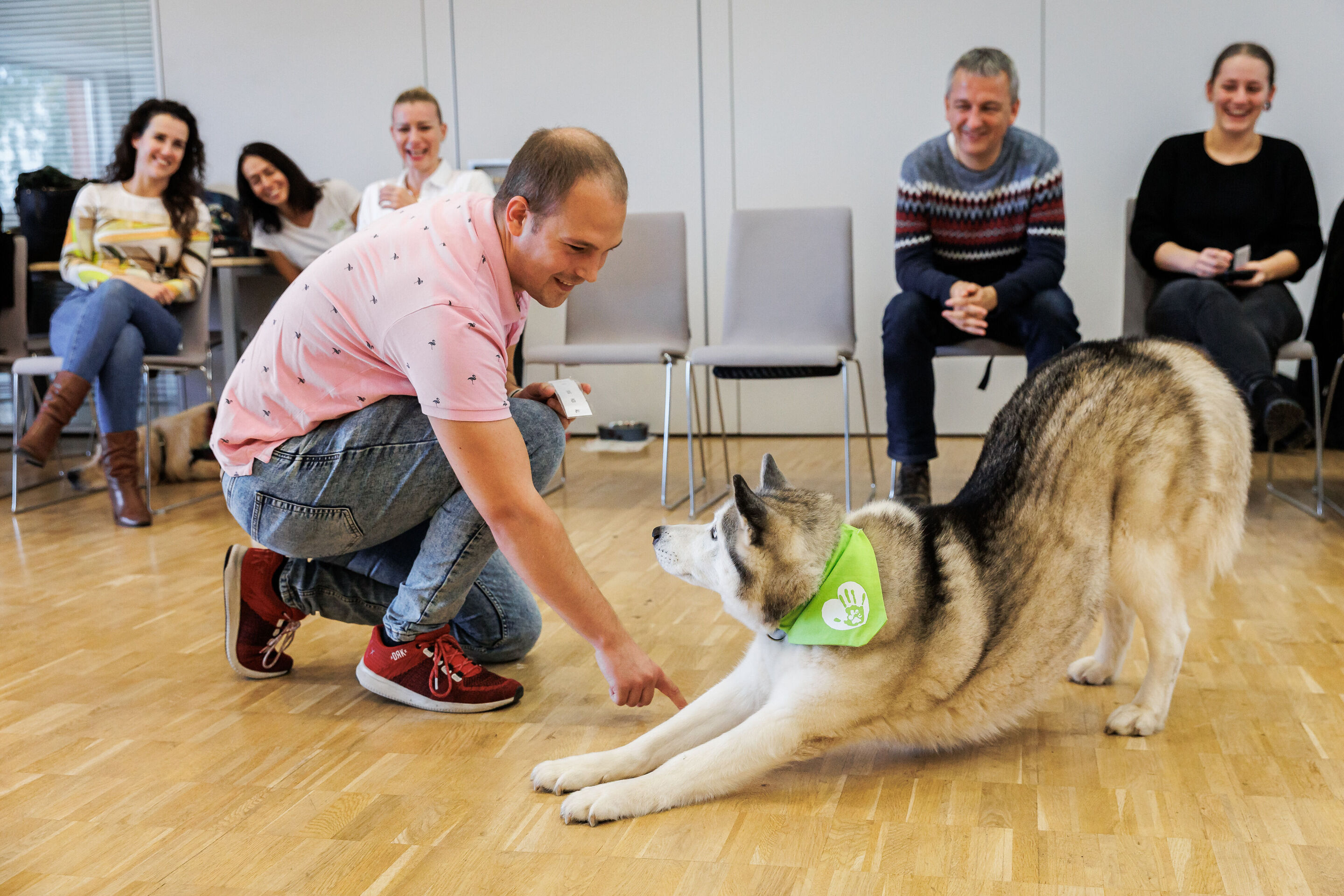 Dog therapy at Audi Hungaria - Dog therapy: Employees at Audi Hungaria are involved in a wide range of volunteer activities, including dog-assisted therapy.