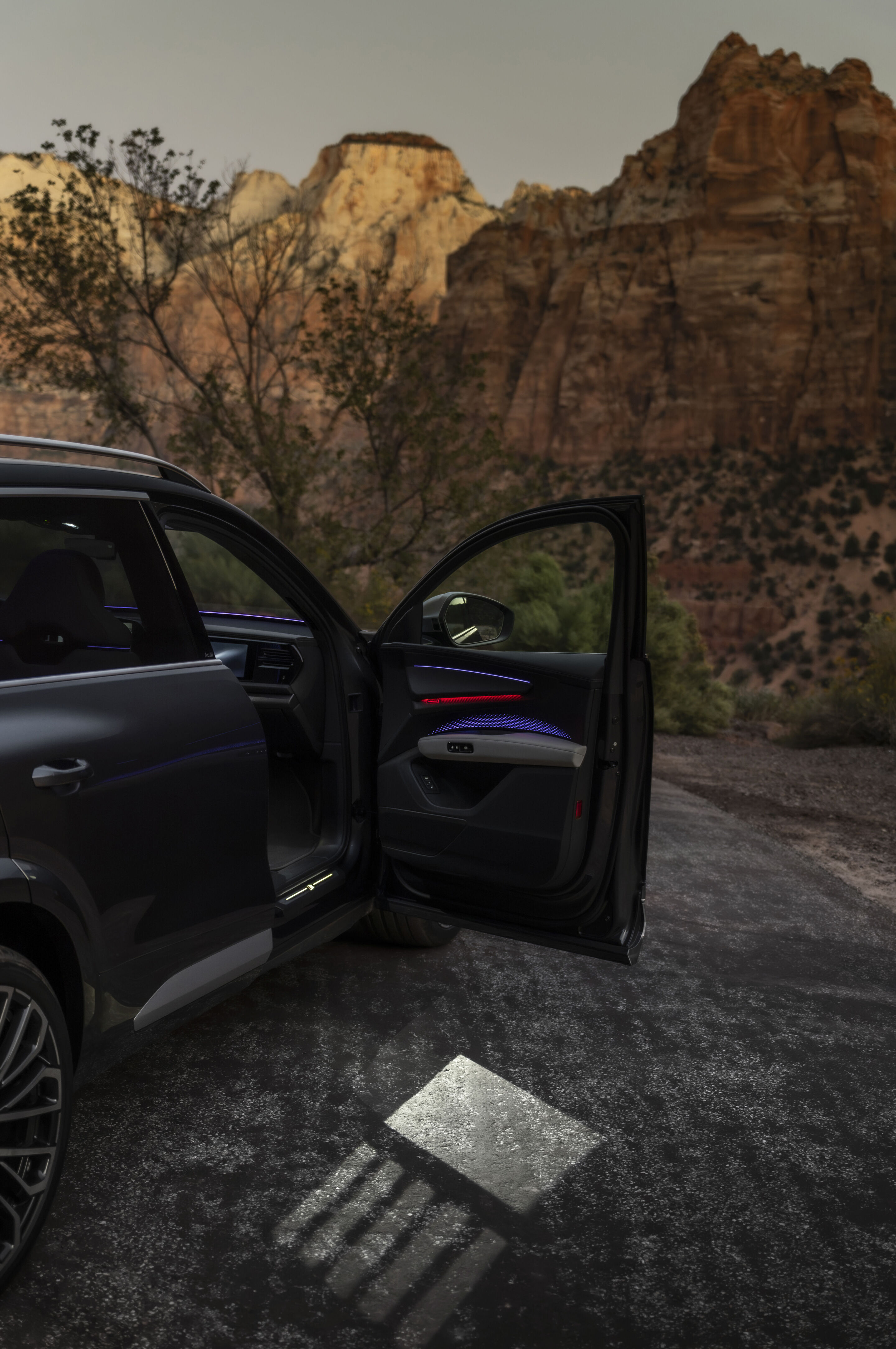 Audi Q9 SUV and Audi SQ9 SUV - The doors of the Audi Q9 SUV and Audi SQ9 SUV can optionally be opened and closed electrically. They can be operated by touch, via the Audi MMI or using the myAudi app.