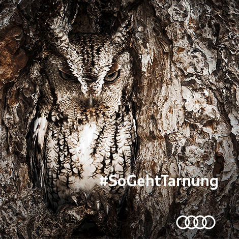 #SoGehtTarnung - #SoGehtTarnung #SoGehtCoupé