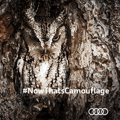 #NowThatsCamouflage - #NowThatsCamouflage #NowThatsACoupé