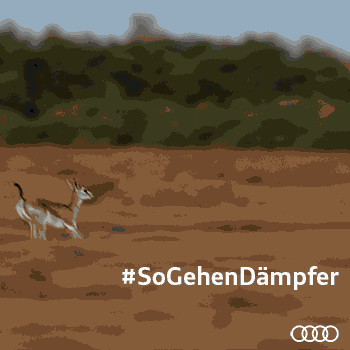 #SoGehenDämpfer - #SoGehenDämpfer #SoGehtCoupé