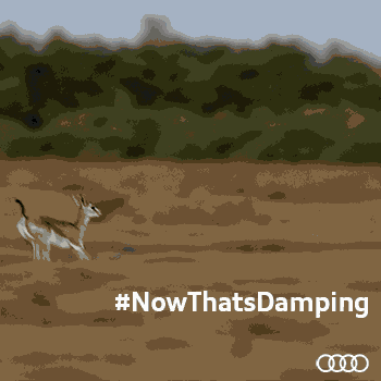 #NowThatsDamping - #NowThatsDamping #NowThatsACoupé