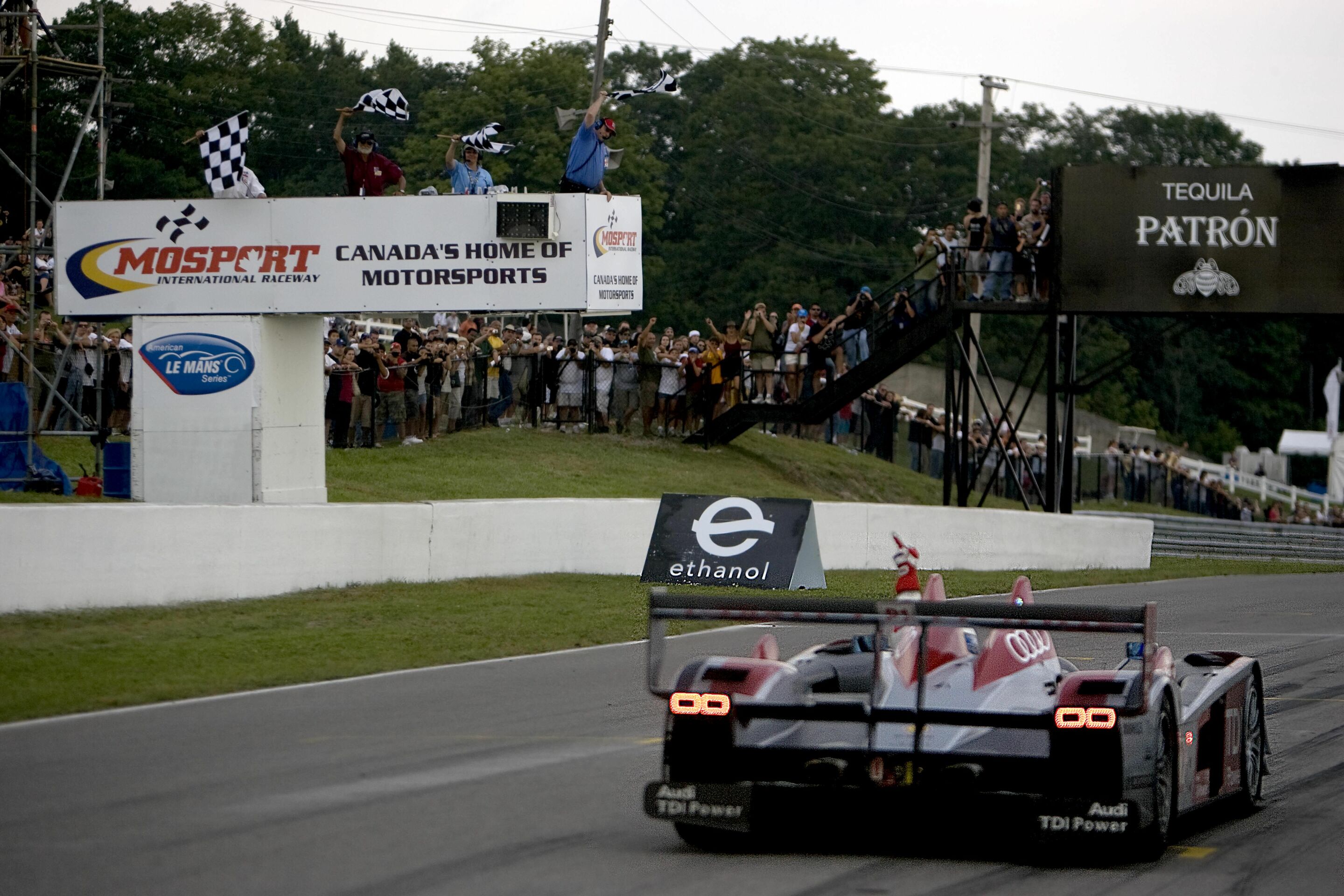 DTM 2008 - Lucas Luhr