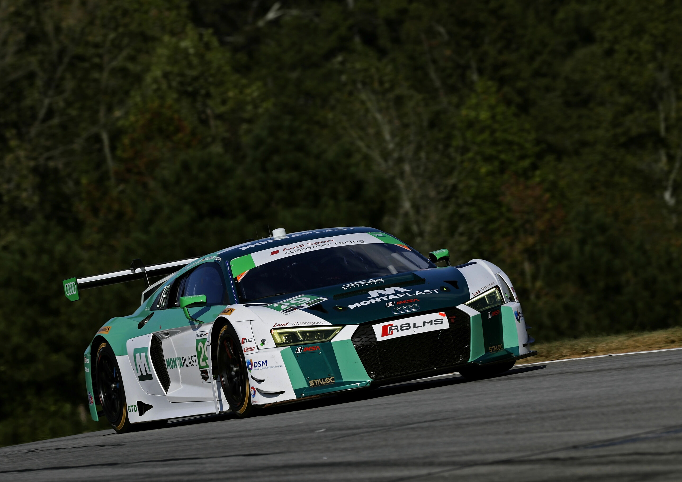 IMSA WeatherTech SportsCar Championship 2017 - Audi R8 LMS #29 (Montaplast by Land-Motorsport), Sheldon van der Linde/Christopher Mies/Connor De Phillippi