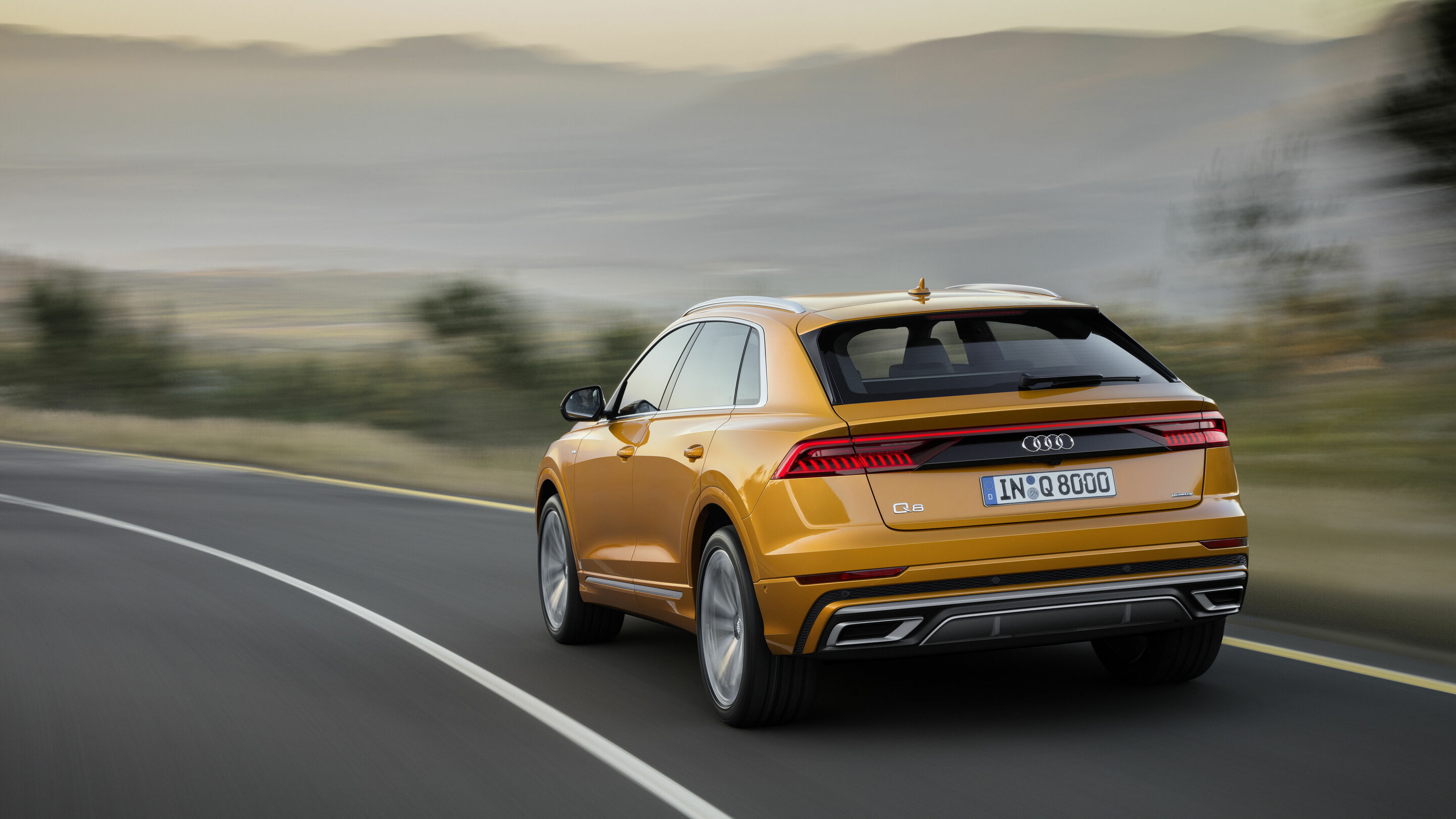 Audi Q8 - Dynamic  photo
Colour:  dragon orange