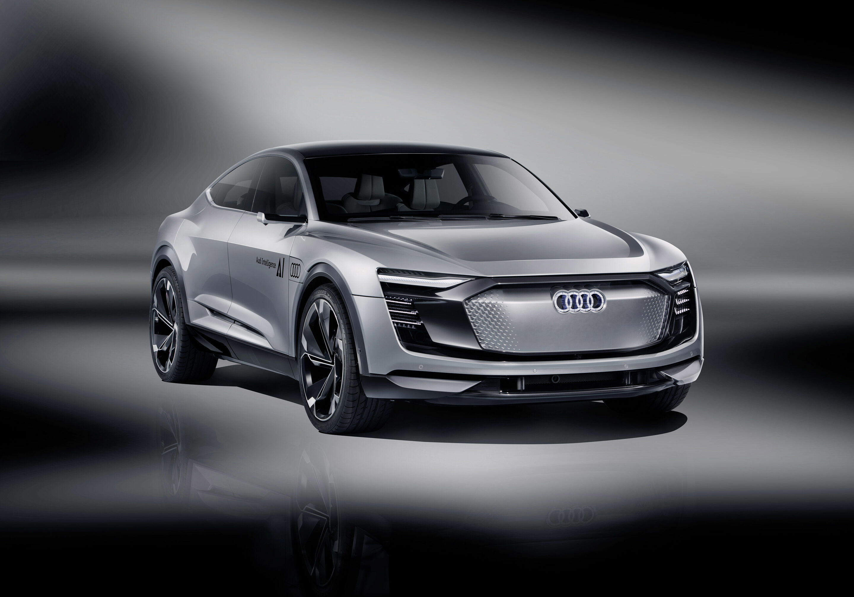 Audi Elaine - Audi Elaine.