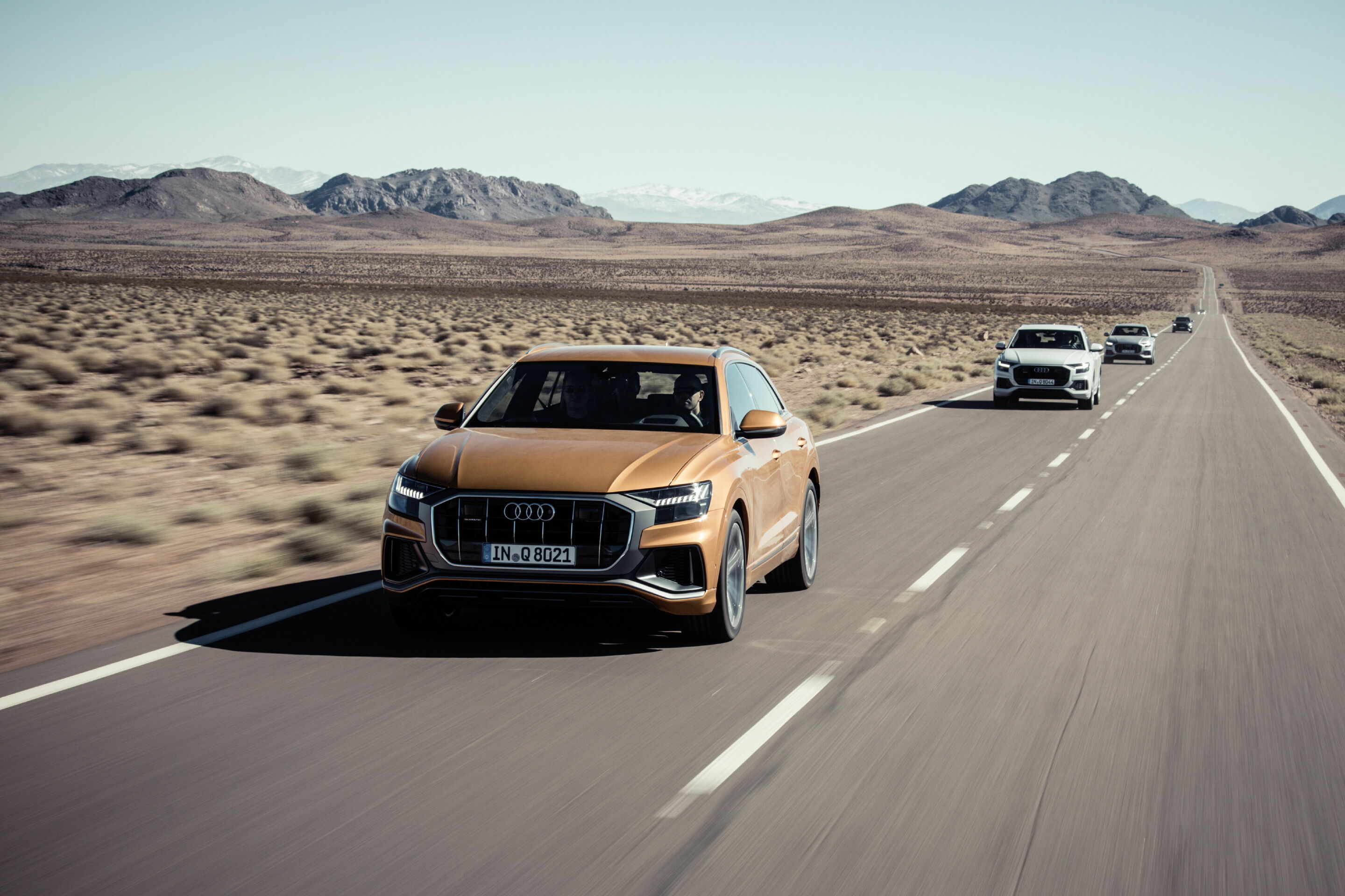 Audi Q8 - Dynamic photo