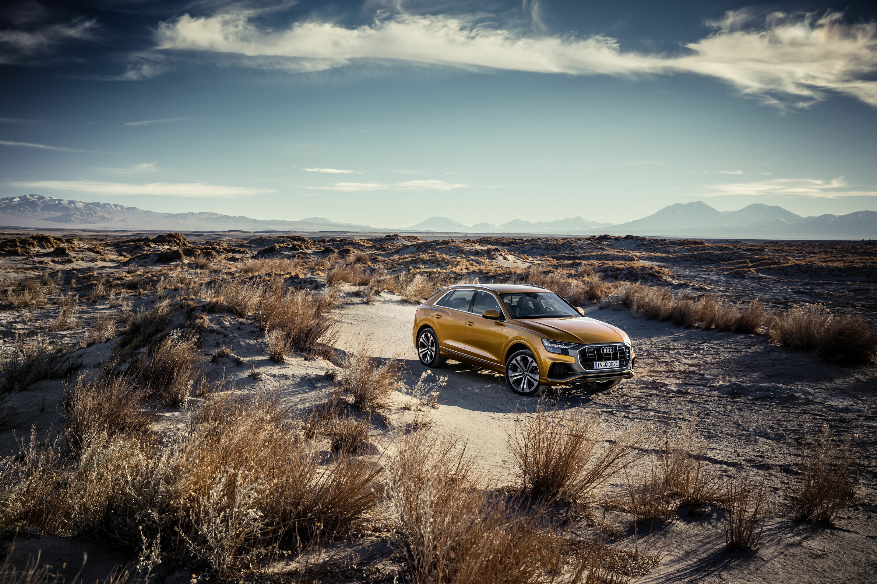 Audi Q8 - Standaufnahme,
Farbe: Drachenorange