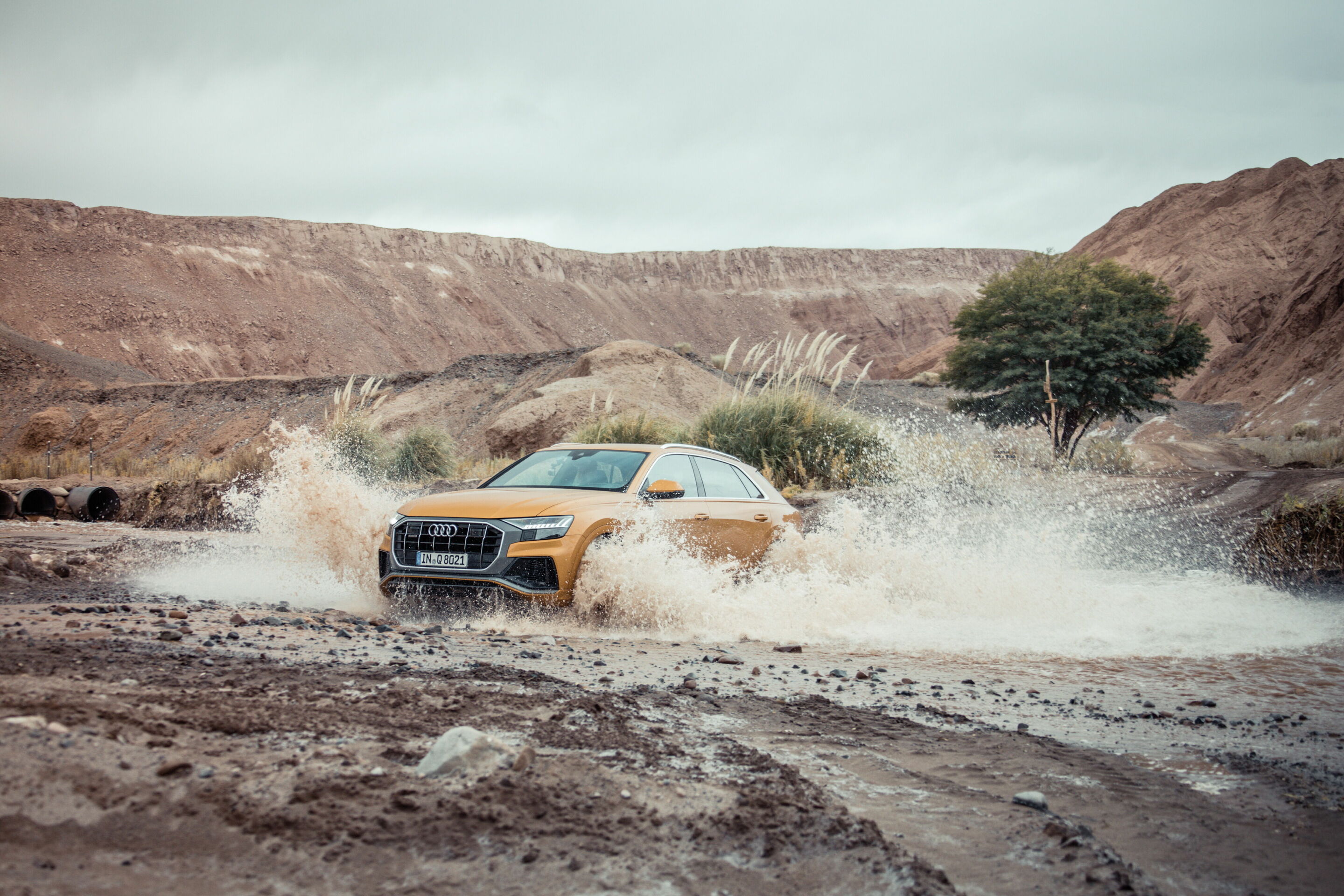 Audi Q8 - Fahraufnahme,
Farbe: Drachenorange