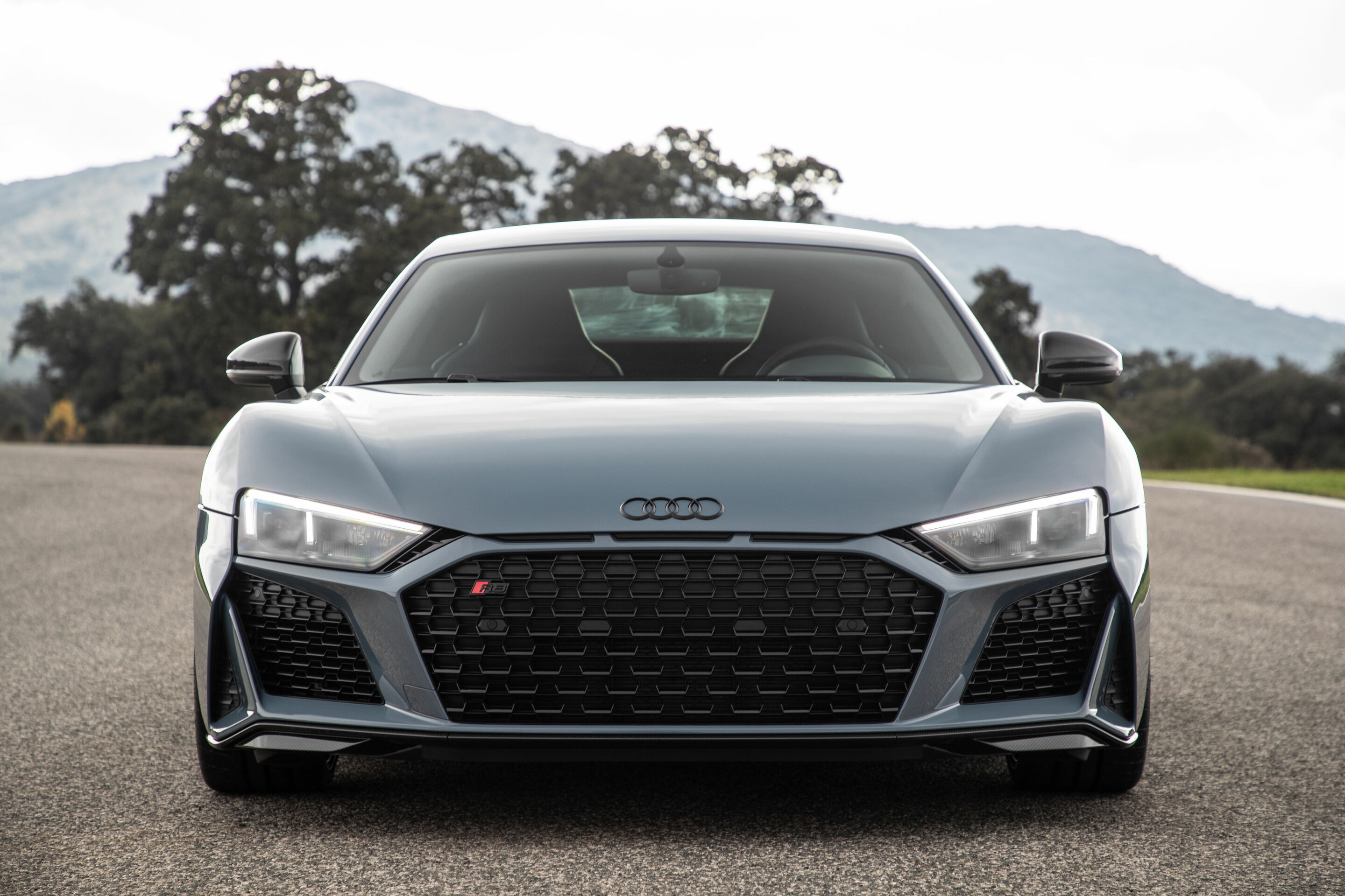Audi R8 Coupé V10 performance quattro - Static Photo 
Colour: Kemora gray metallic