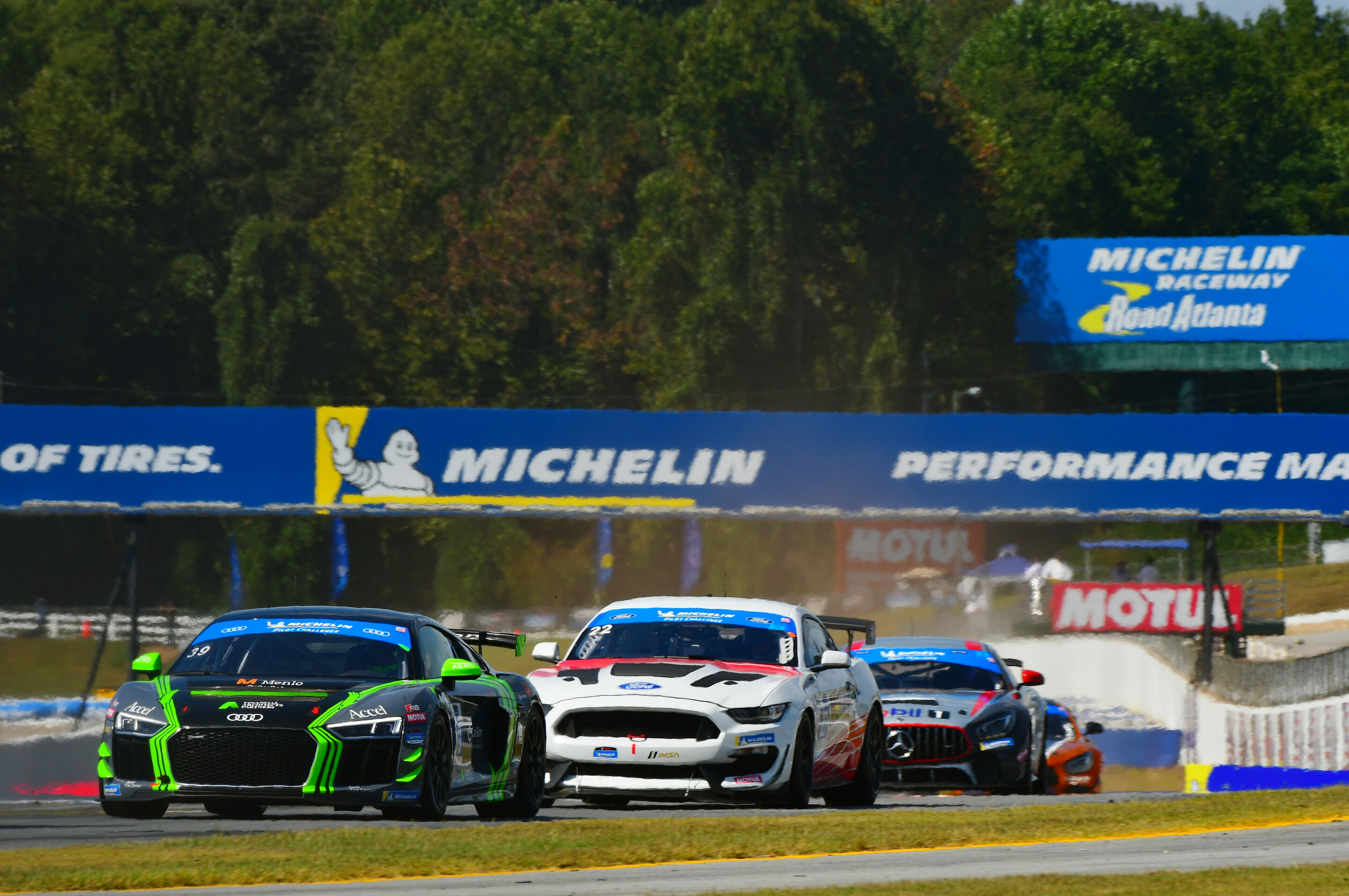IMSA Michelin Pilot Challenge 2019 - Audi R8 LMS GT4 #39 (CarBahn with Peregrine Racing), Tyler McQuarrie/Jeff Westphal