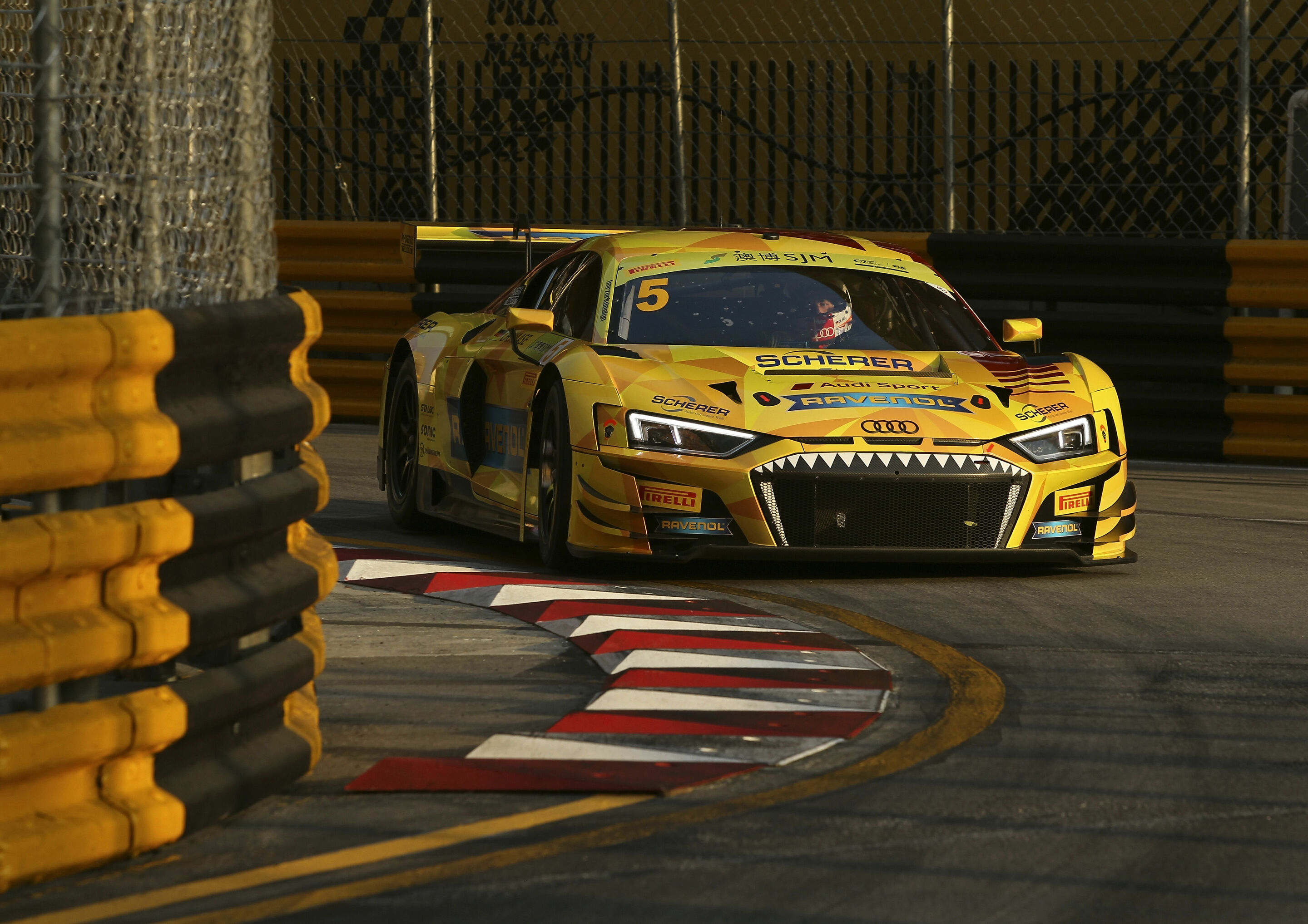 FIA GT World Cup 2019 - Audi R8 LMS #5 (Phoenix Racing), Christopher Haase