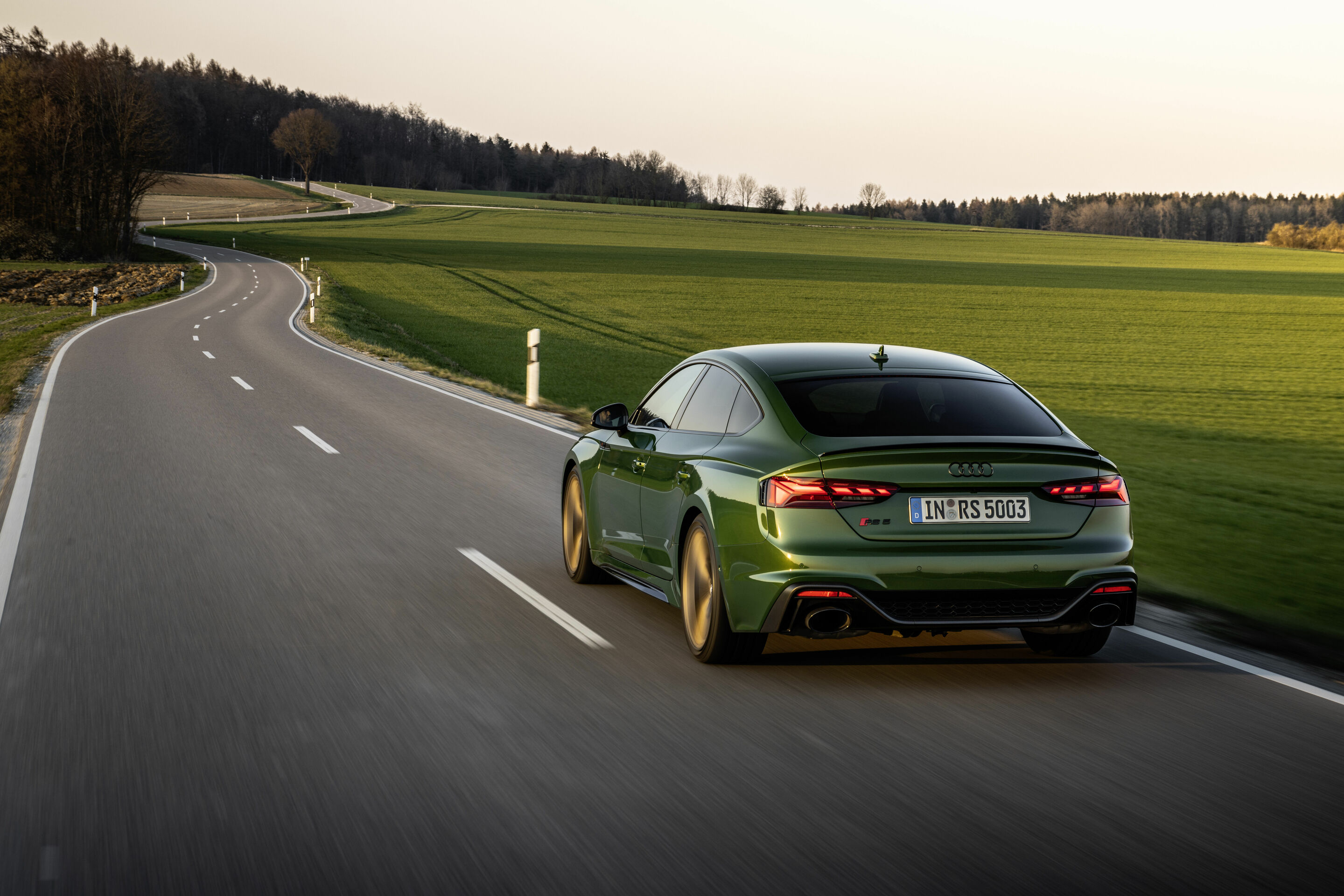 Audi RS 5 Sportback - Dynamic photo,
Colour: Sonoma green