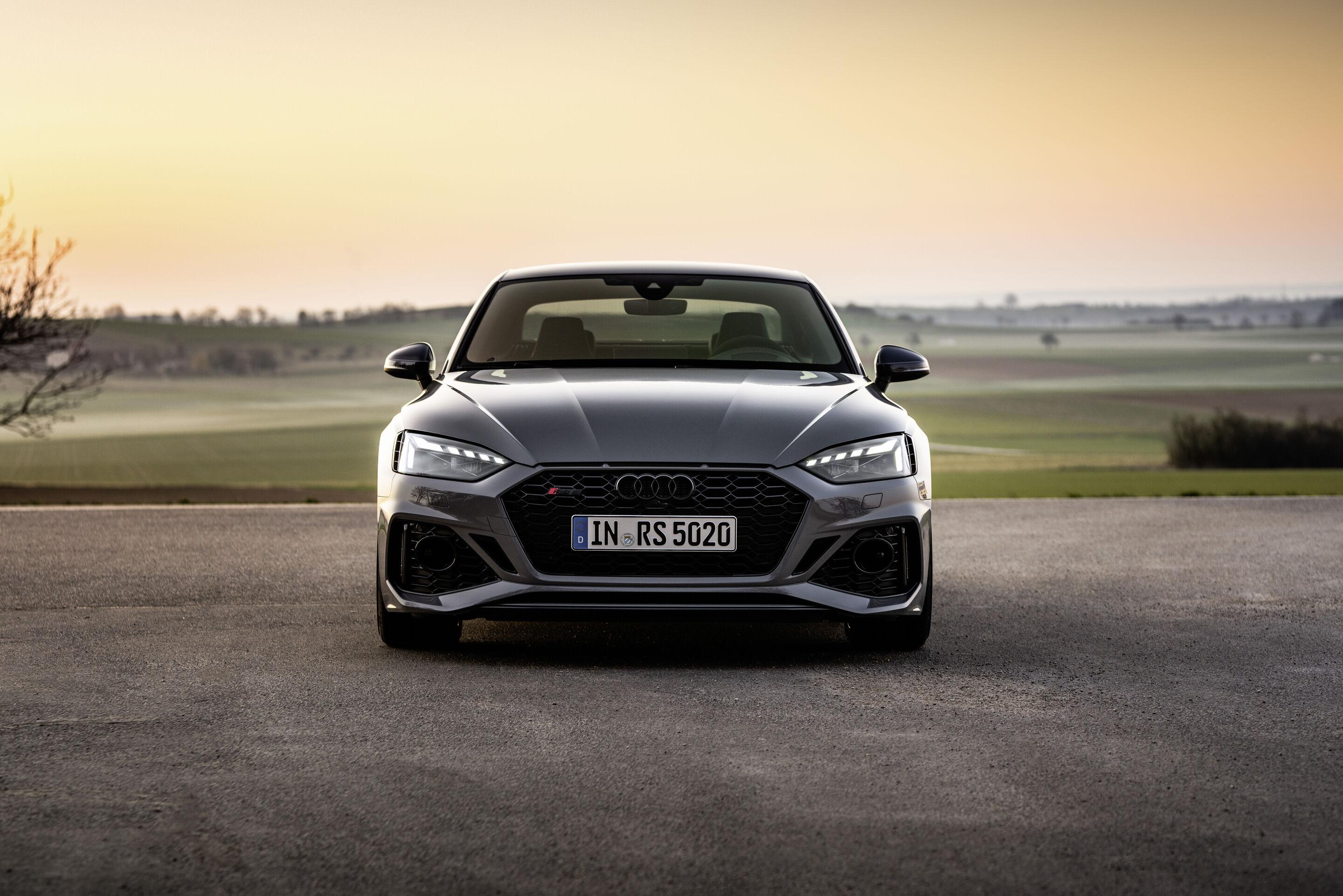Audi RS 5 Coupé (until 2024) - Static photo
Colour: Nardo gray
