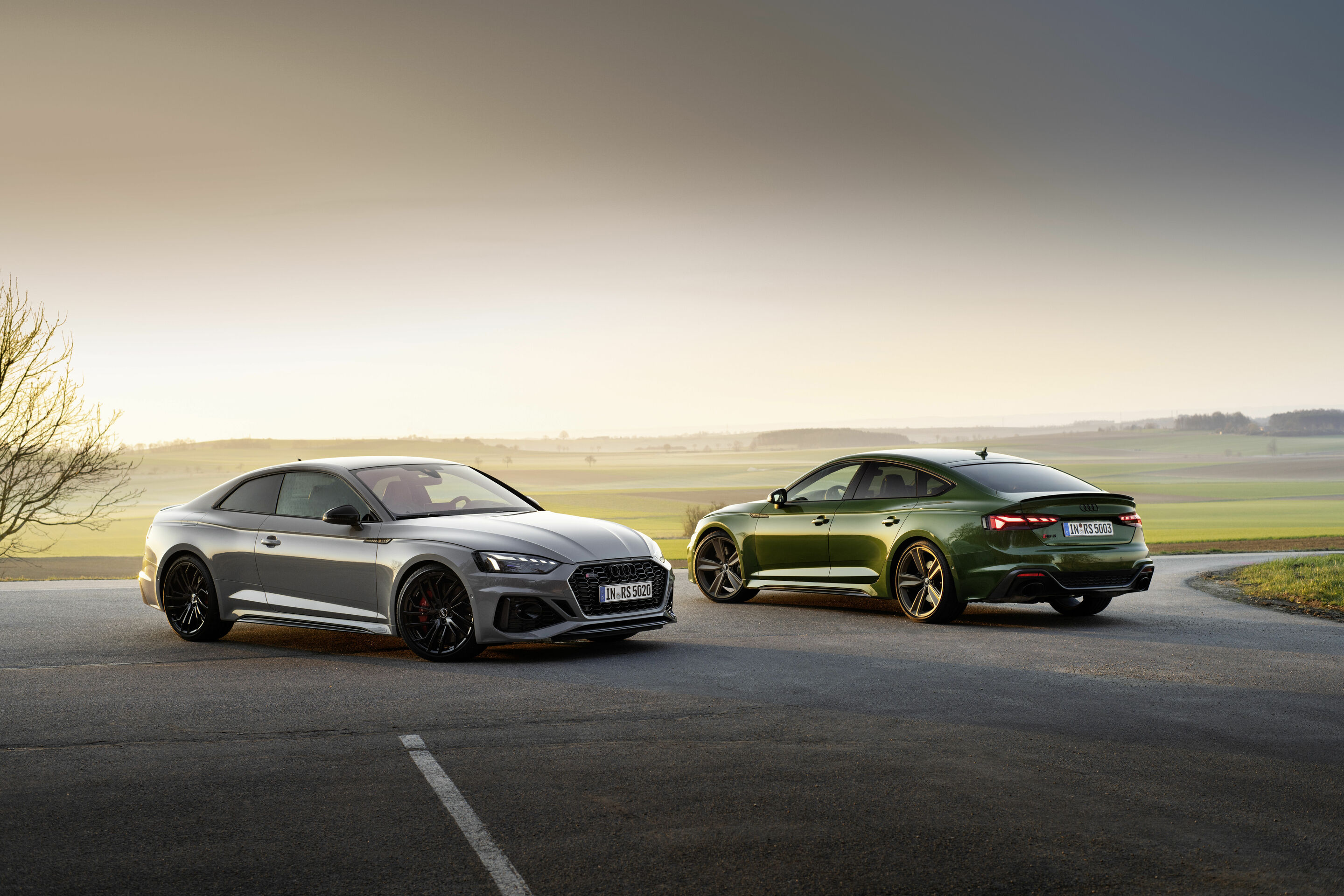 Audi RS 5 Coupé, Audi RS 5 Sportback - Static photo,
Colour: Nardo gray, Sonoma green
