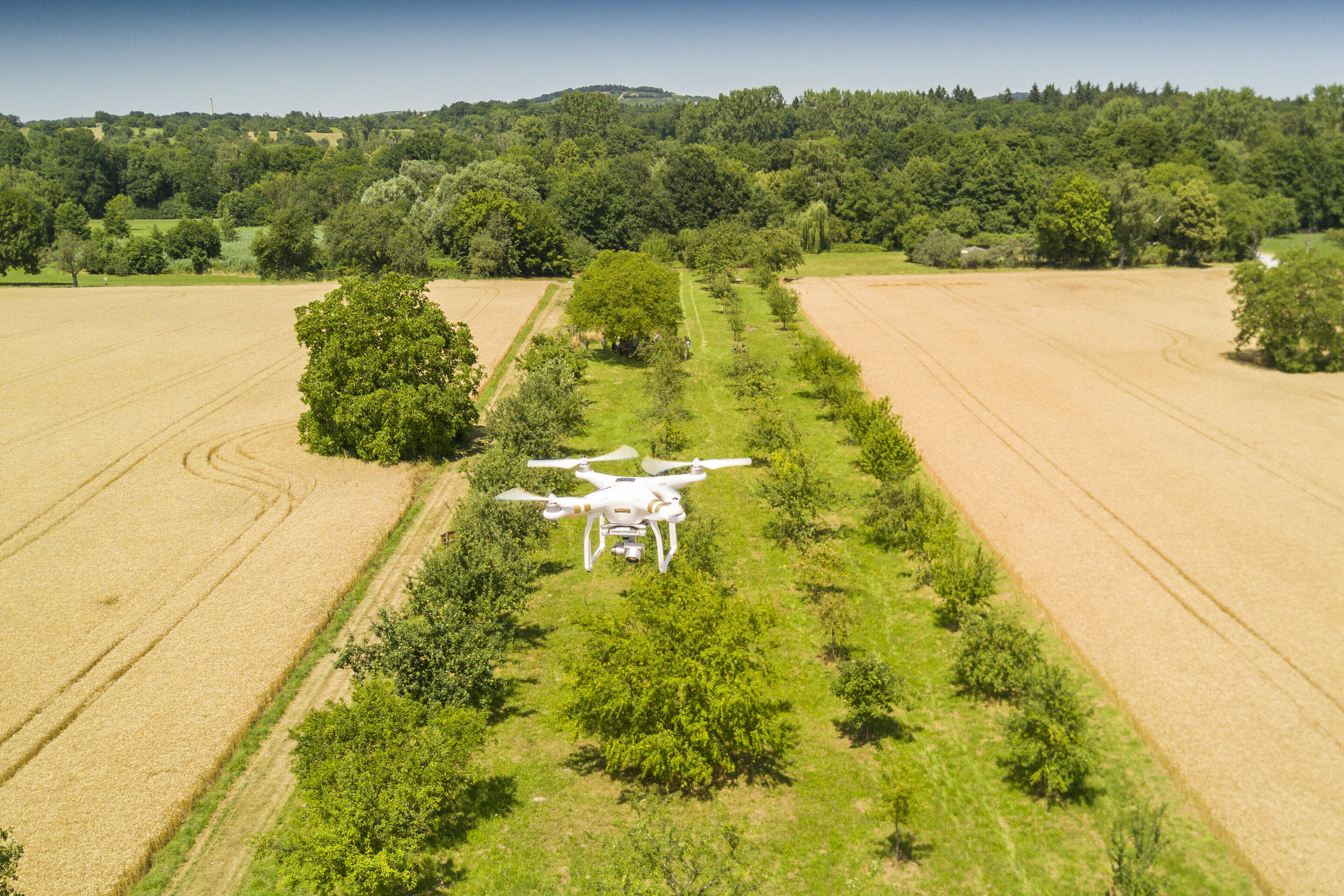 Audi Stiftung für Umwelt - Förderprojekt der Audi Stiftung für Umwelt: Streuobstwiesen der baden-württembergischen Gemeinde Bad Schönborn werden per Drohnenflug kartographiert. Anschließende bewerten Wissenschaftler Gesundheitszustand und Vitalität der...