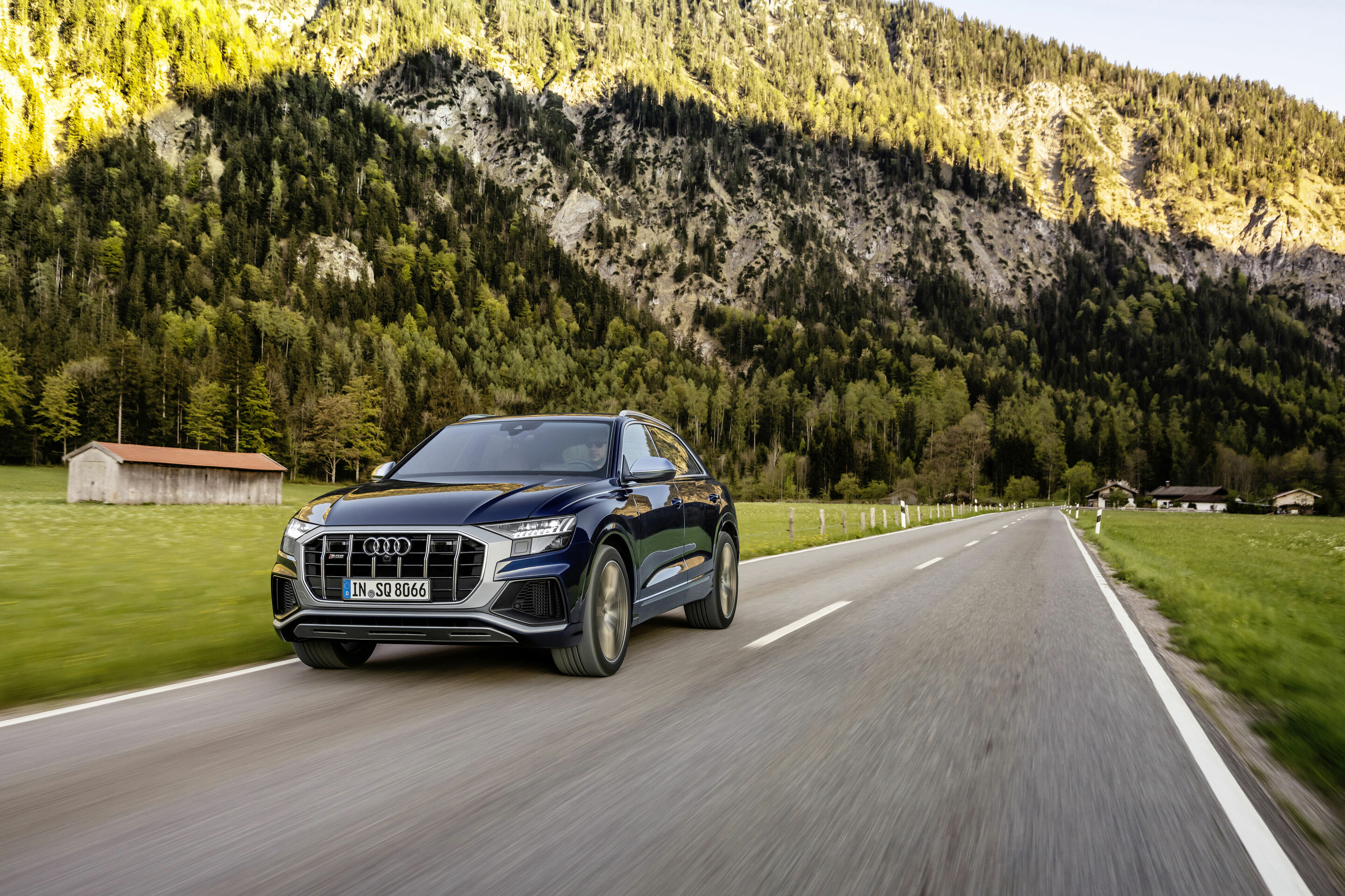 Audi SQ8 TFSI - Dynamic photo
Color: Navarra blue