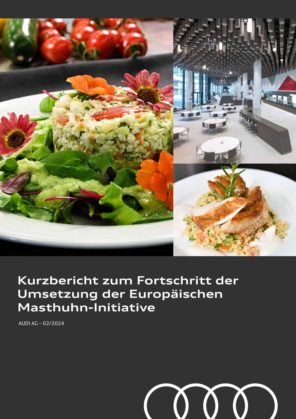 Kurzbericht zum Fortschritt der Umsetzung der Europäischen Masthuhn-Initiative AUDI AG Dezember 2023
