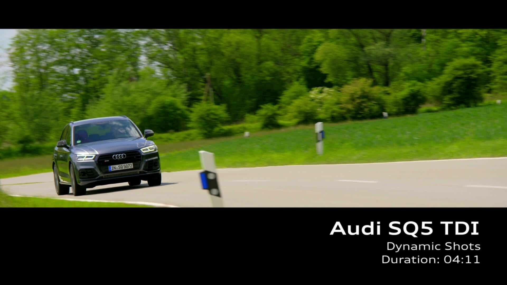 Audi SQ5 TDI (until 2024) – Footage