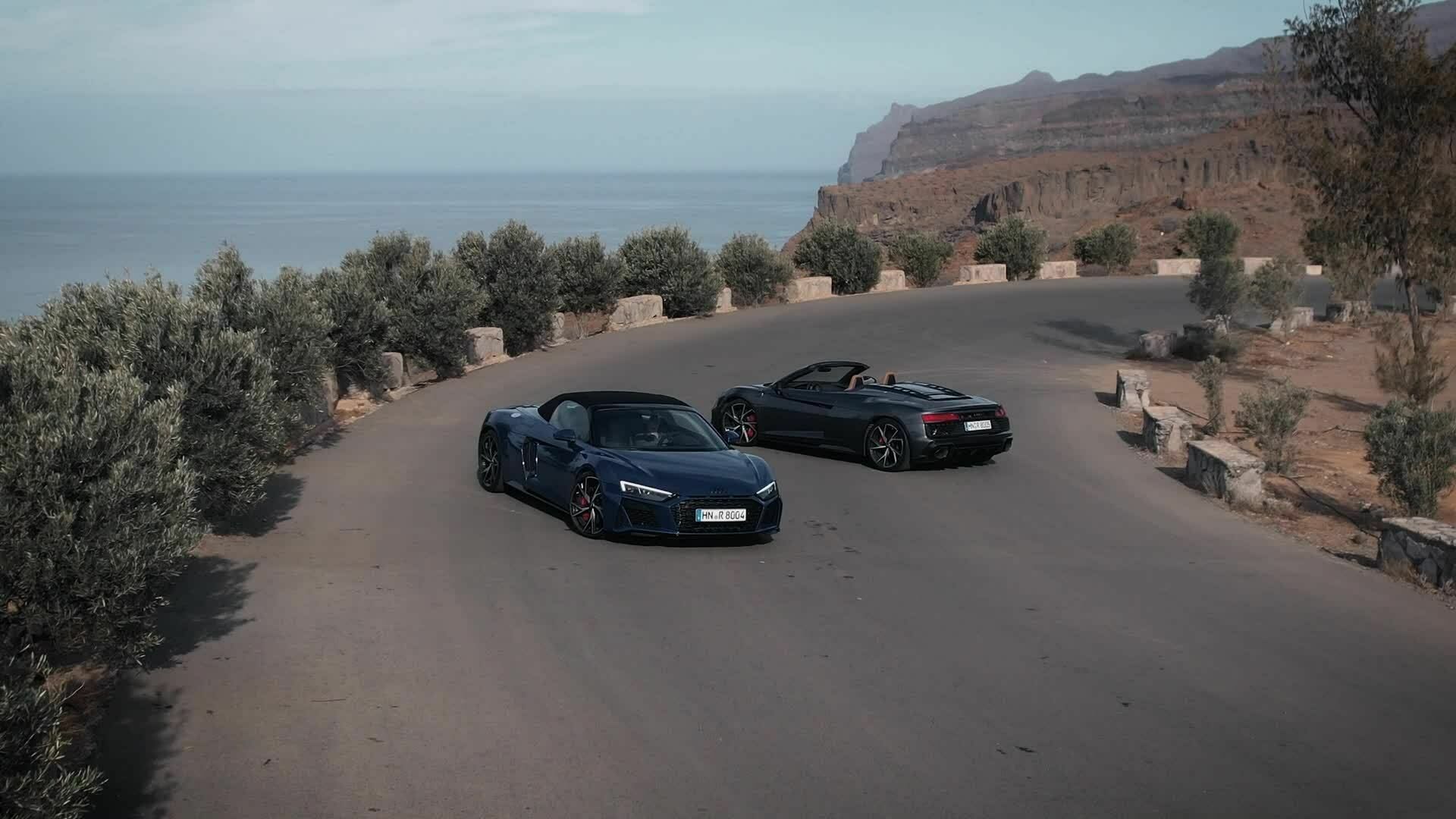The sheer joy of driving: Audi R8 V10 performance RWD (until 2024)