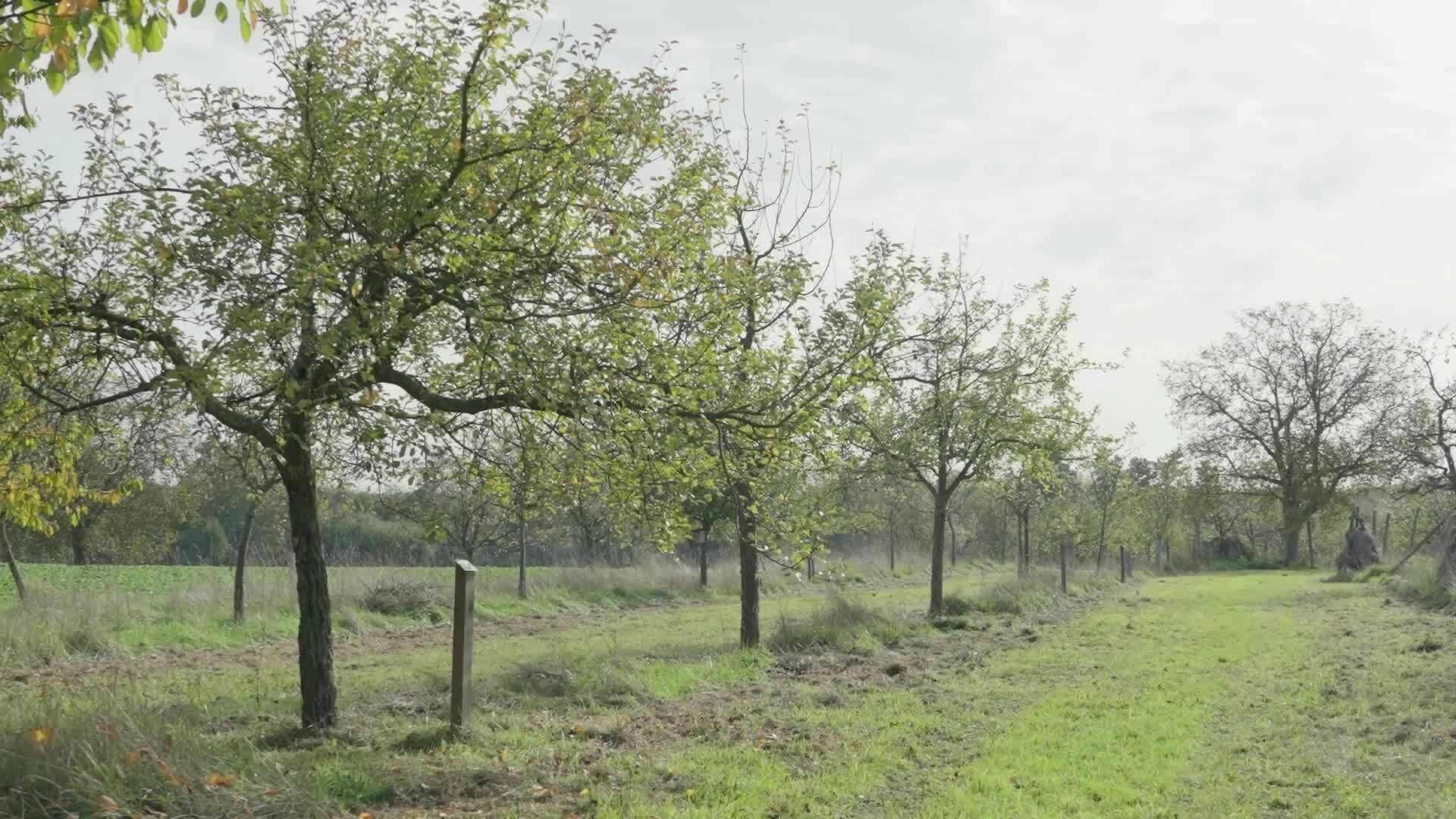 Drohnen für den Umweltschutz